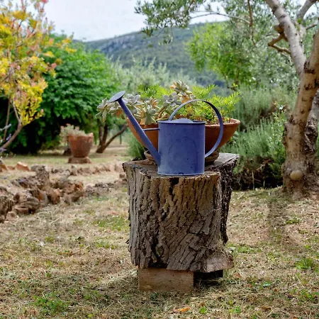 House Sunshine Holiday home Jelsa (Hvar)