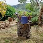 House Sunshine Holiday home Jelsa (Hvar)