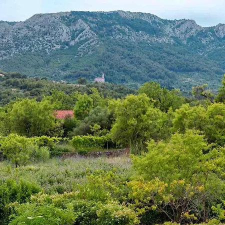 Casa vacanze House Sunshine